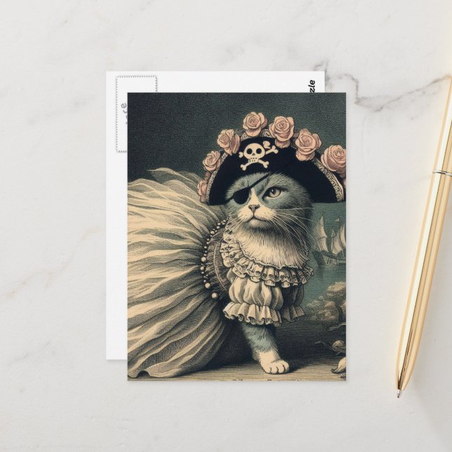 Adorable Pirate Cat Postcard (Front/Back In Situ)