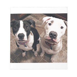 adorable pitbull puppies dogs notepad