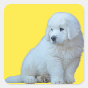 Adorable Polish Tatra Sheepdog Puppy Sticker
