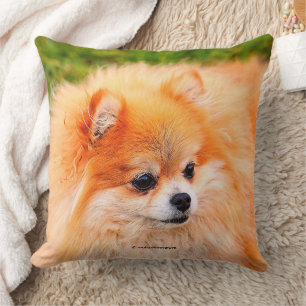 Adorable Pomeranian Dog Cushion