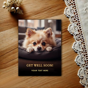 Adorable Pomeranian Get Well Postcard