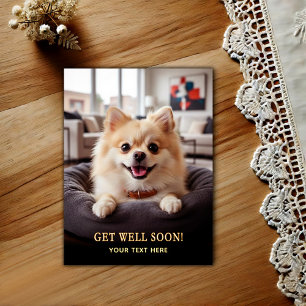 Adorable Pomeranian Get Well Postcard