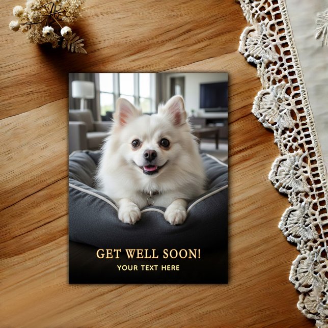 Adorable Pomeranian Get Well  Postcard (Creator Uploaded)