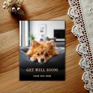 Adorable Pomeranian Get Well Postcard
