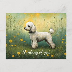 Adorable Poodle In Meadow Thinking Of You Postcard
