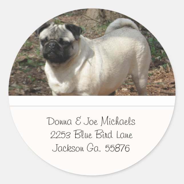 Adorable Pug Address Labels (Front)