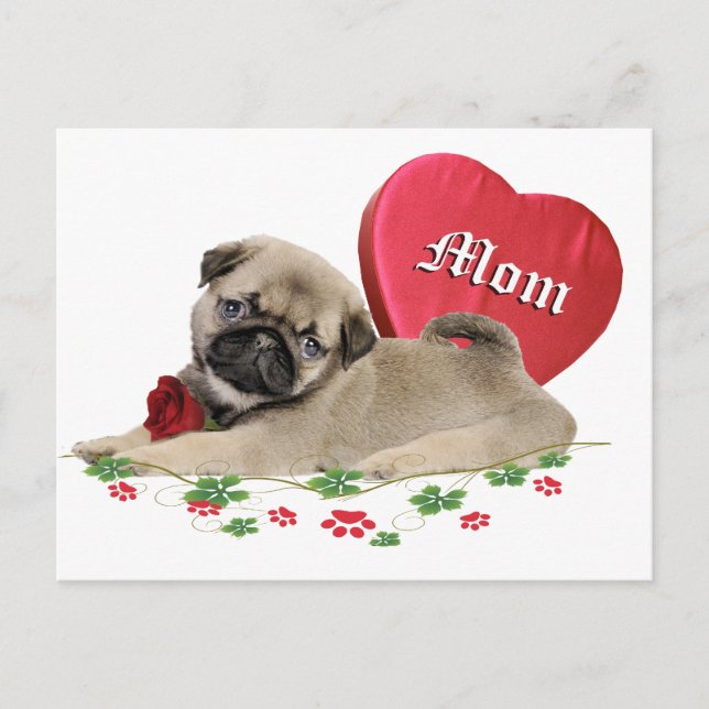 Adorable Pug Mum Design Postcard (Front)