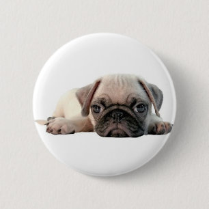 adorable pug puppy 6 cm round badge
