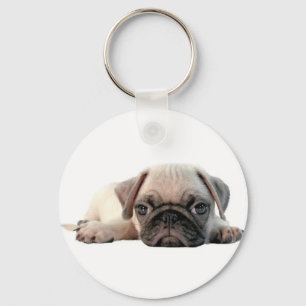 adorable pug puppy key ring