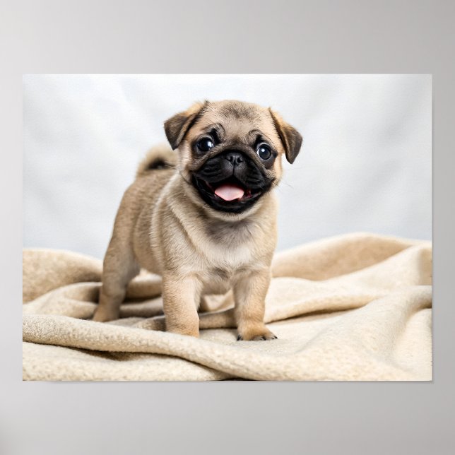 Adorable pug puppy poster (Front)
