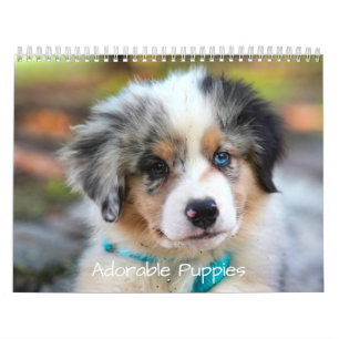 Adorable Puppies 2026 Cute Dog Calendar