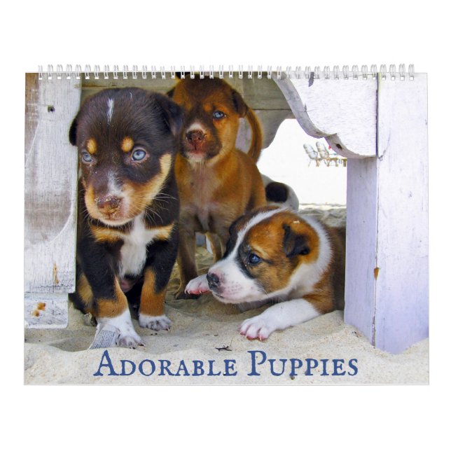 Adorable Puppies Personalised 2022 Calendar (Cover)