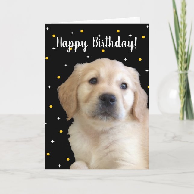 Adorable Puppy Birthday Card for Anyone (Front)