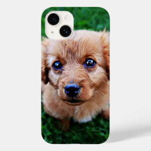 Adorable Puppy Cute Photo Case-Mate iPhone 14 Case