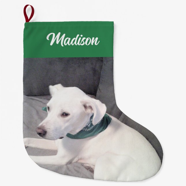 Adorable Puppy Dog Custom Name Green Large Christmas Stocking (Front)