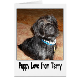 Adorable "Puppy Love From Terry" Card