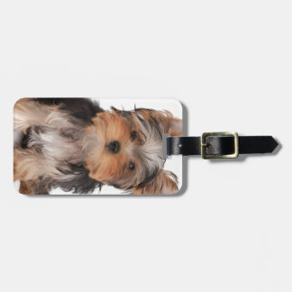 Adorable puppy luggage tag