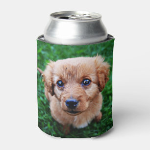 Adorable Puppy on Lawn Photo Can Cooler