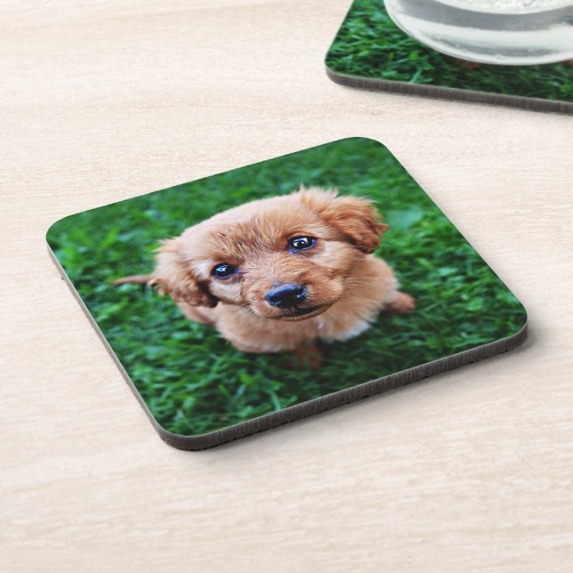 Adorable Puppy Photo Coaster (Left Side)