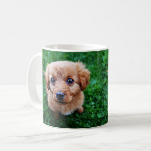 Adorable Puppy Photo Coffee Mug