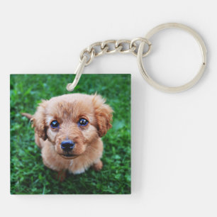 Adorable Puppy Photo Key Ring