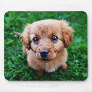 Adorable Puppy Photo Mouse Mat