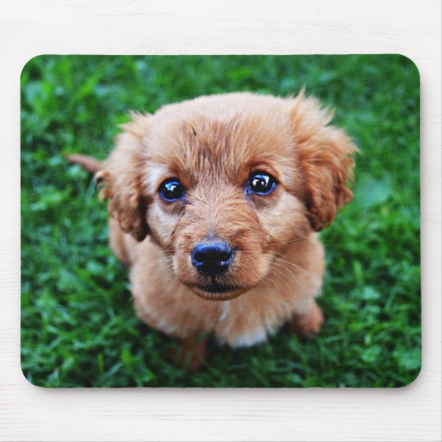 Adorable Puppy Photo Mouse Mat (Front)