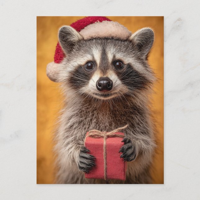 Adorable Raccoon in a Santa Hat Holding a Present Holiday Postcard (Front)