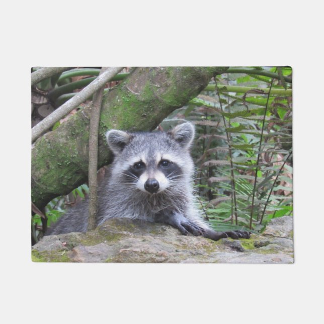 Adorable Racoon Doormat (Front)