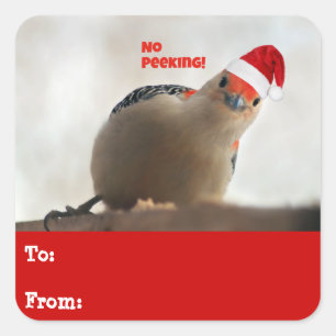 Adorable Red Bellied Woodpecker Holiday Gift Tags