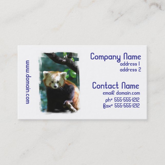 Adorable Red Panda Business Cards (Front)