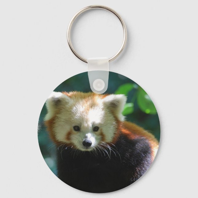 Adorable Red Panda  Keychain (Front)