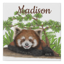 Adorable Red Panda Personalised Wall
