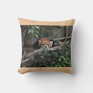 Adorable Red Panda Wildlife Nature Photography Cushion