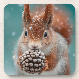 Adorable Red Squirrel in the Snow with a Pinecone Coaster