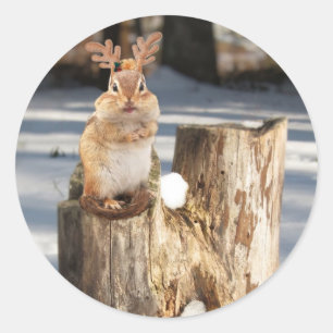 Adorable "Reindeer" Chipmunk Classic Round Sticker