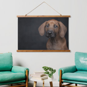 Adorable Rhodesian Ridgeback Puppy Portrait Dog Ph Hanging Tapestry