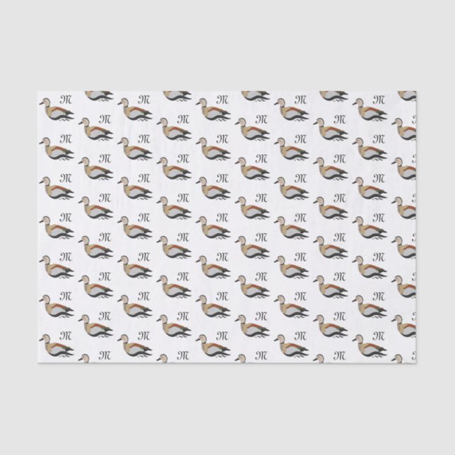 Adorable Ringed Teal Duck Swimming Tissue Paper (Front)