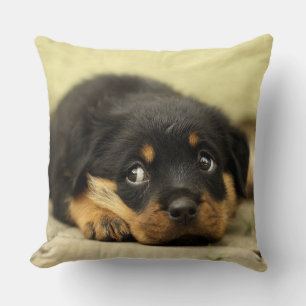 Adorable Rottweiler Puppy Cushion