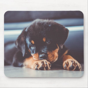 Adorable Rottweiler Puppy Dog Resting Mouse Mat