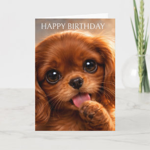 Adorable Ruby Cavalier Spaniel Card