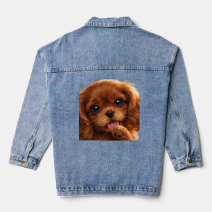 Adorable Ruby Cavalier Spaniel  Denim Jacket