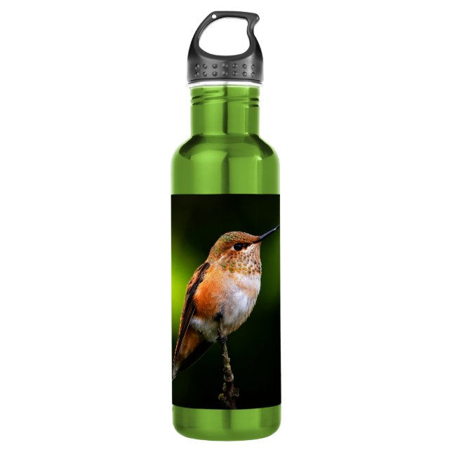 Adorable Rufous Hummingbird on Branch 710 Ml Water Bottle (Front)