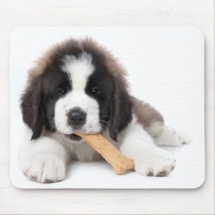 Adorable Saint Bernard Puppy Chewing on a Dog Bone Mouse Mat