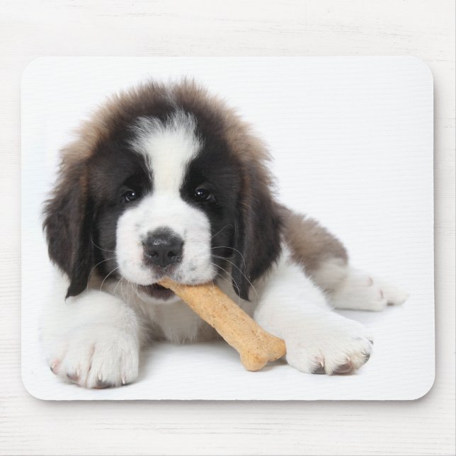 Adorable Saint Bernard Puppy Chewing on a Dog Bone Mouse Mat (Front)