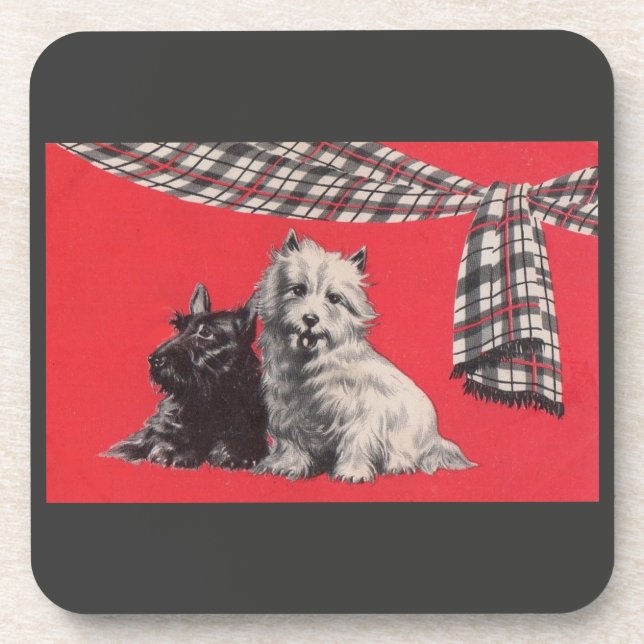 adorable Scottish terriers Coaster (Front)