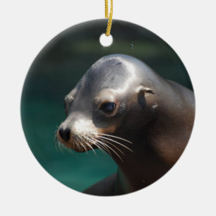 Adorable Sea Lion Ceramic Tree Decoration