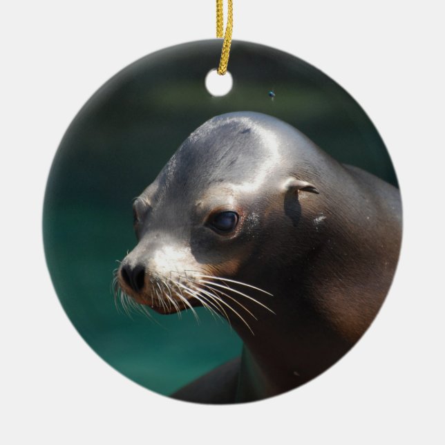 Adorable Sea Lion Ceramic Tree Decoration (Front)