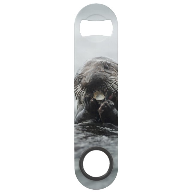Adorable Sea Otter (Front)