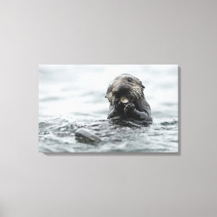 Adorable Sea Otter Canvas Print